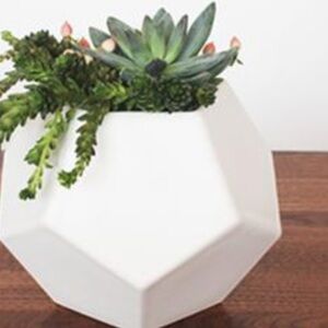 Mid Century vibes; Modern Deca Planter